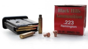 Munizioni .223 Rem per carabina Benelli Mr1-Rx4 Storm