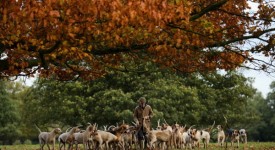 Photo Credits - Christopher Furlong - Getty Images News - Getty Images - 186429330