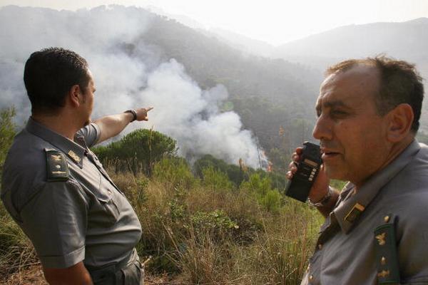come diventare guardia forestale