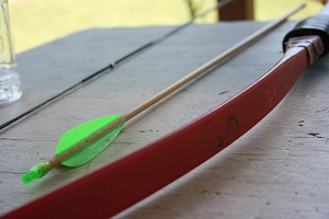 PATIKIL 60 Pezzi Cocche Per Frecce Da Tiro Con L'Arco - 6.2mm Di Diametro, Gialle, Inserti In Plastica Per Aste Frecce, Sostituzione