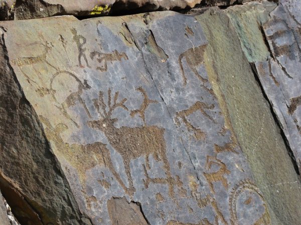 Scoperte frecce avvelenate di 13 mila anni fa
